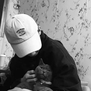 977精品视频在线观看
