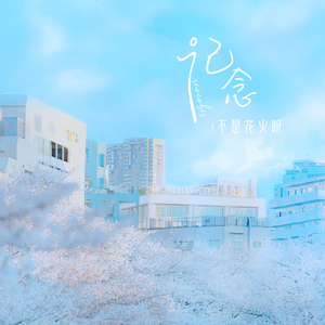 977精品视频在线观看
